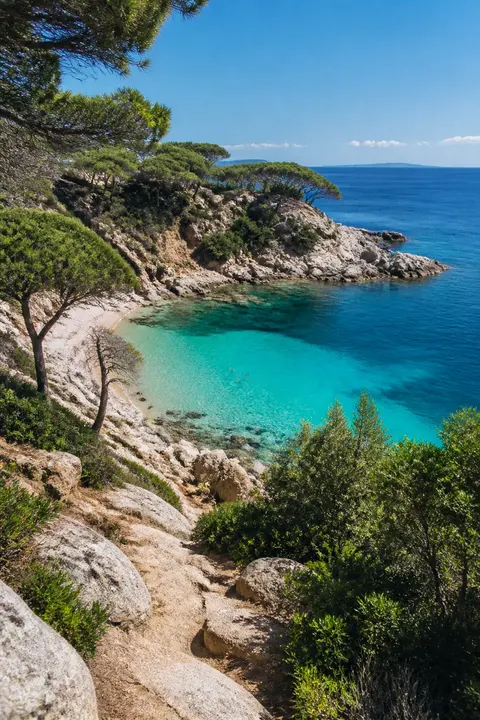 Turquoise Mediterranean Pine Cove