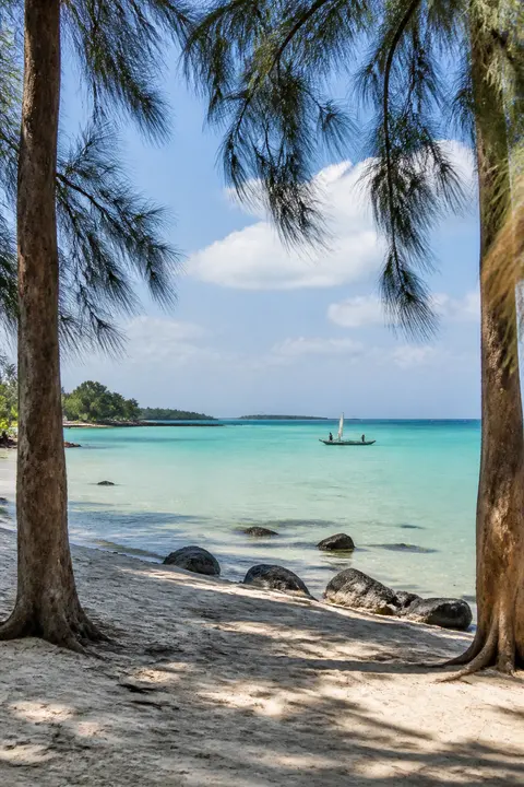 Quiet Lagoon Framed by Coastal Trees
