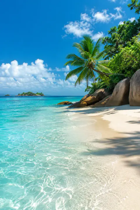 Beautiful Tropical Beach Paradise Crystal Clear Blue Water