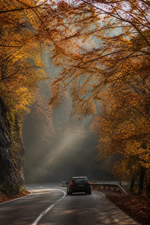 Golden Autumn Drive Through Transylvania