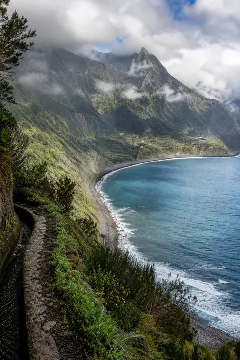 Cloud Forest Cliffs Above a Dark Bay