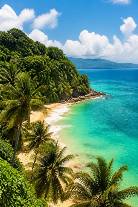 Cliff Overlook above Caribbean Palm-fringed Beach