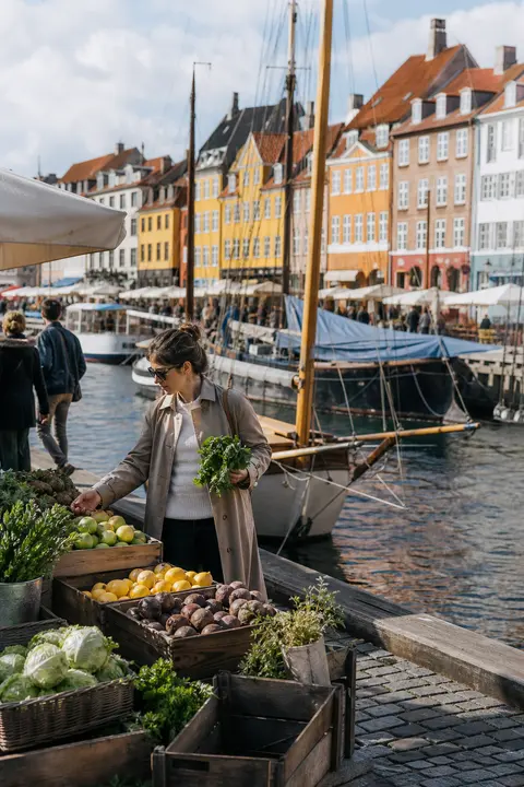 Copenhagen Colorful Harbor on Market Day