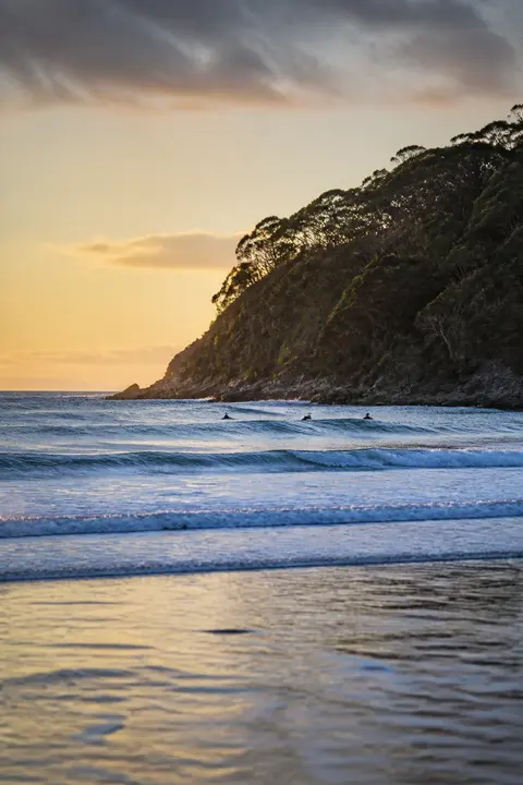 Golden Hour Surf Beneath Forested Headlands