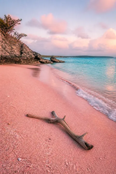Pink Sand Beach at Pastel Sunrise