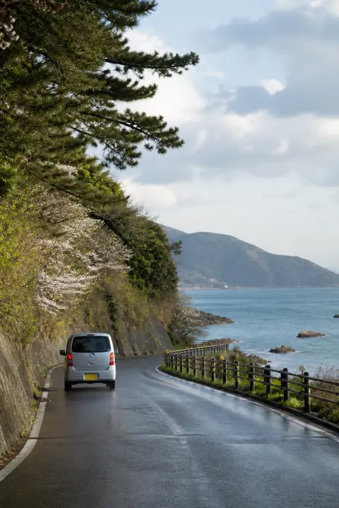 Rainy Coastal Drive in Japan