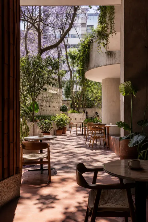 Leafy Modern Courtyard in Mexico City