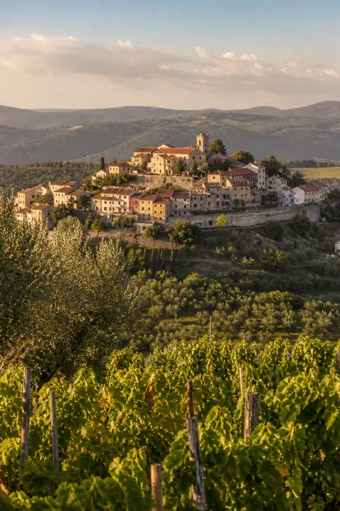 Sunlit Hill Village Among Vineyards