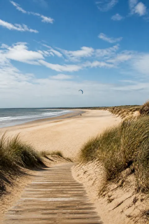 Dune Boardwalk to an Empty Ocean Beach