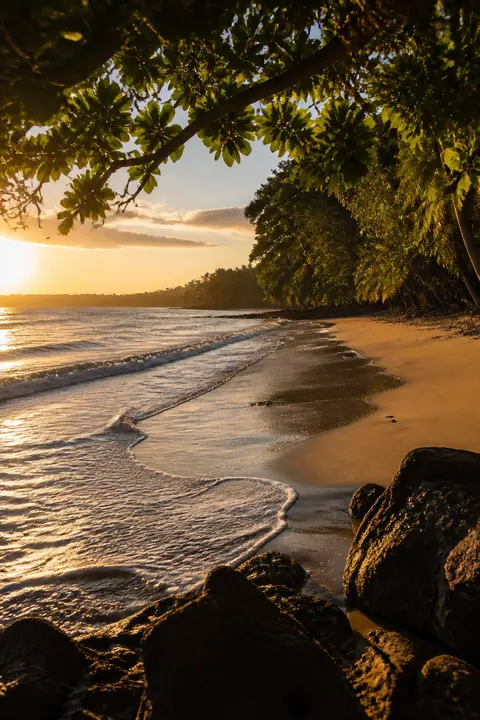 Costa Rican Jungle Beach in Golden Light