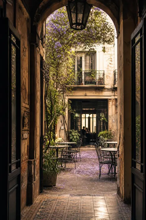 Wisteria Courtyard in Buenos Aires