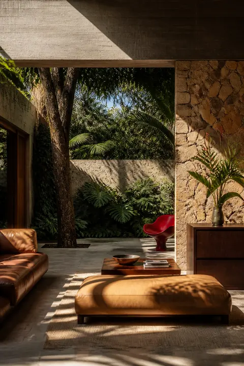 Brazilian Modern Living Room Around a Courtyard Tree