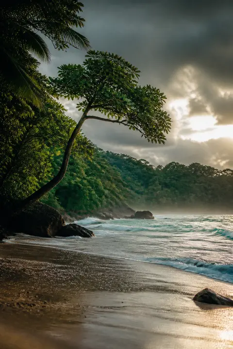 Costa Rican Jungle Beach after the Weather Clears